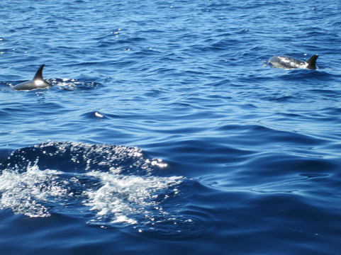 Black Runner-阿尔布赞拉必去景点