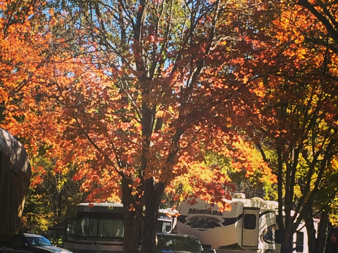 Cullasaja River RV Park