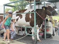 Rakunoh Mother's Aso Milk Bokujo-西原町必去景点