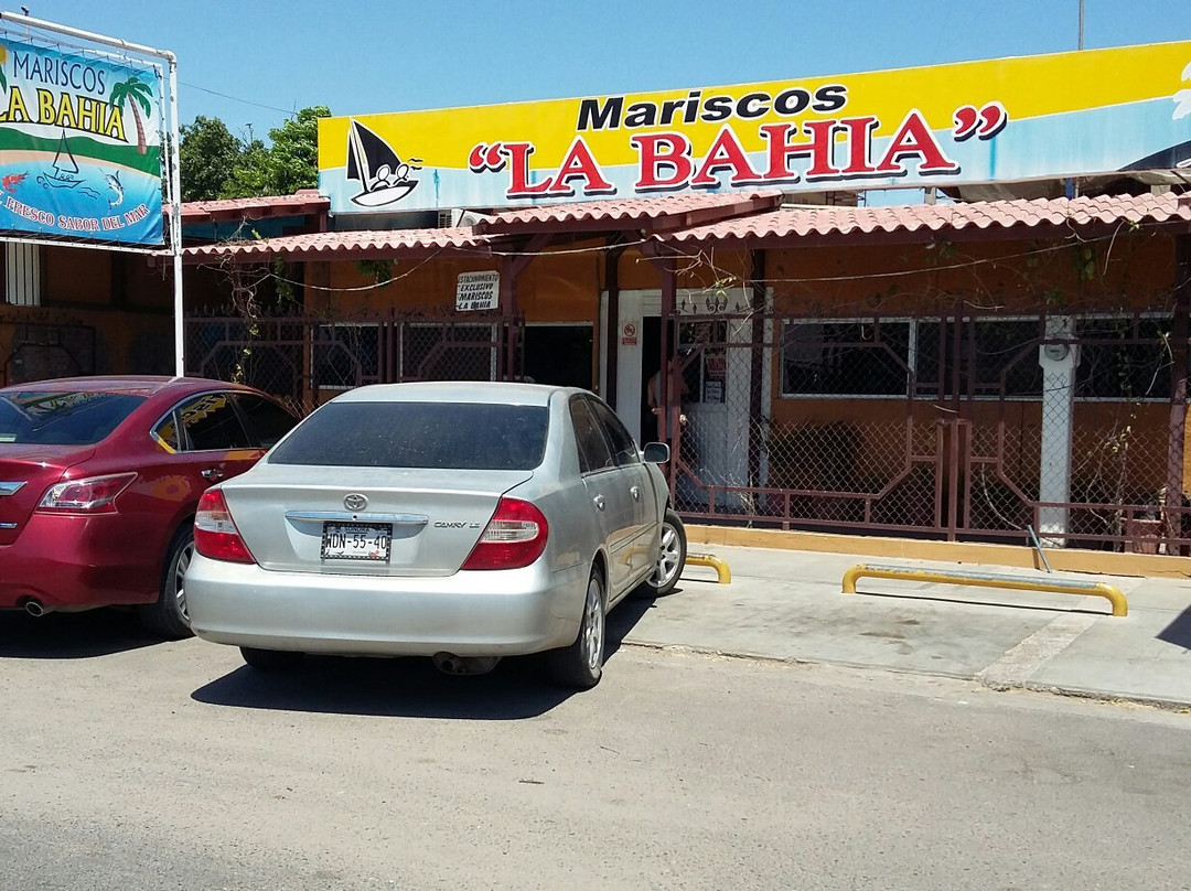 Benito Juarez Municipality旅游攻略图片