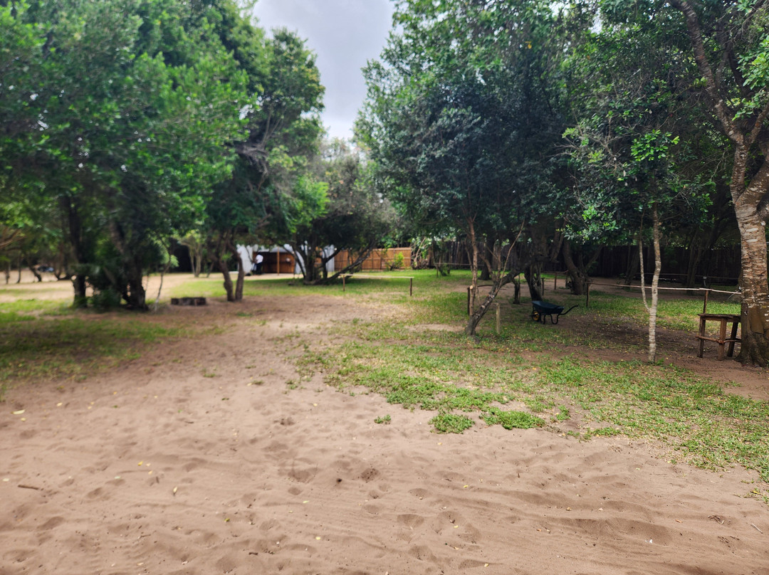 Actupo Camping Ponta
