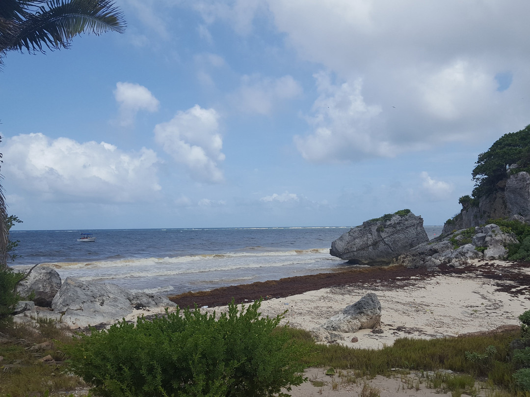 Mayan Beach景点图片