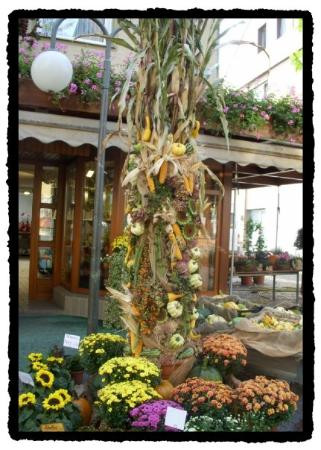 Kongen旅游攻略图片