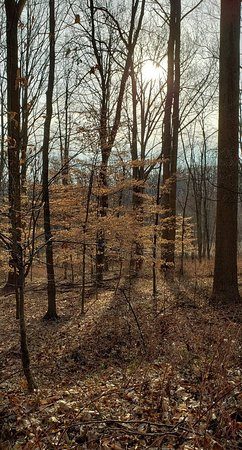 Palmer State Park-Street必去景点
