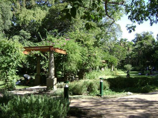 Company's Gardens-开普敦中心区必去景点