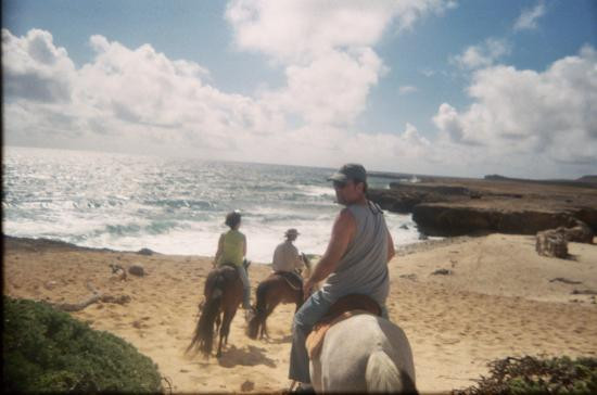 The Gold Mine Ranch-Arikok National Park必去景点