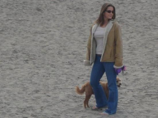 Del Mar Beach-卡梅尔必去景点