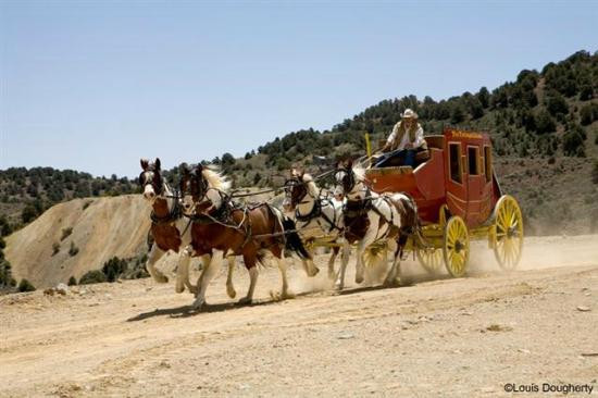 TNT Stagelines-弗吉尼亚市必去景点