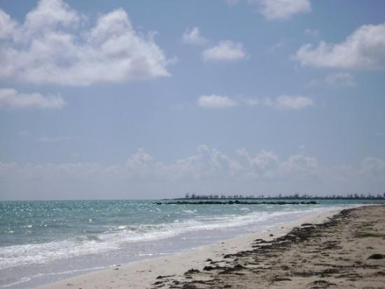 Barbary Beach-弗里波特必去景点