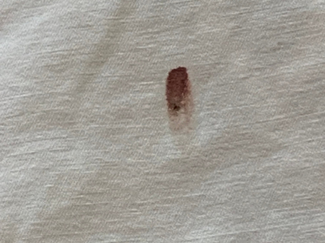 Hotel Posada Senorial主图