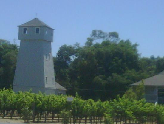 Handley Cellars Winery景点图片