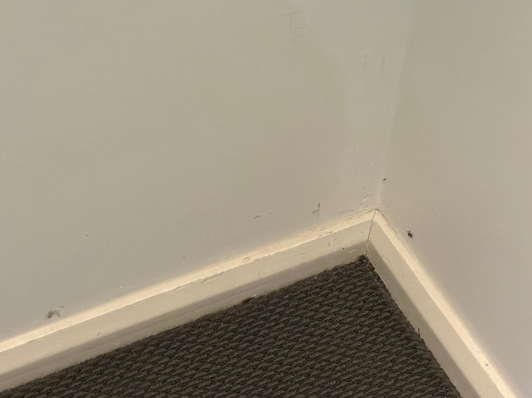 美居梅特兰酒店主图