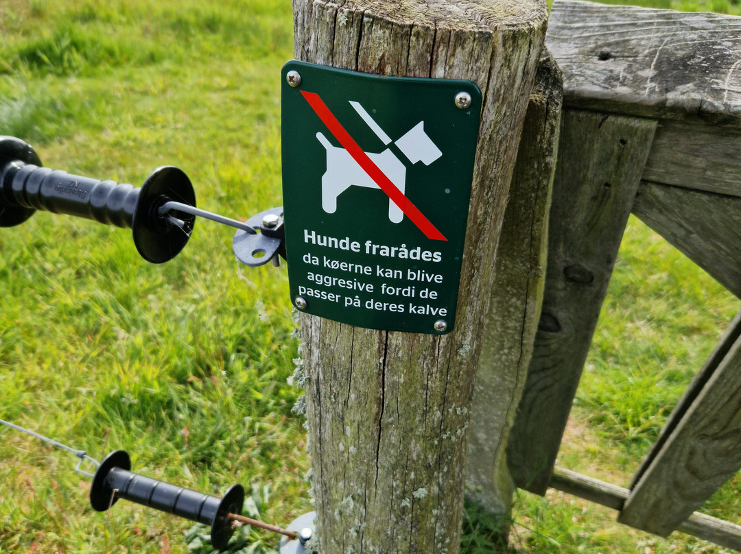 Hellerød kær vandrerute景点图片