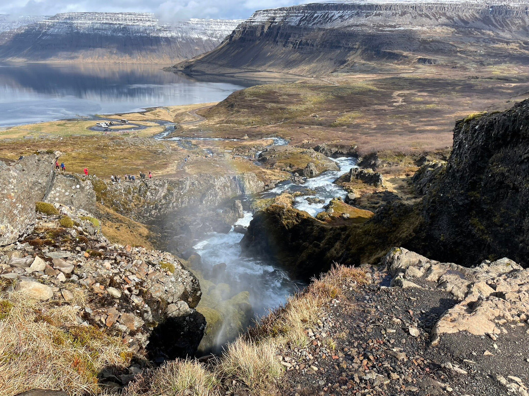 Wild Westfjords-伊萨菲厄泽必去景点