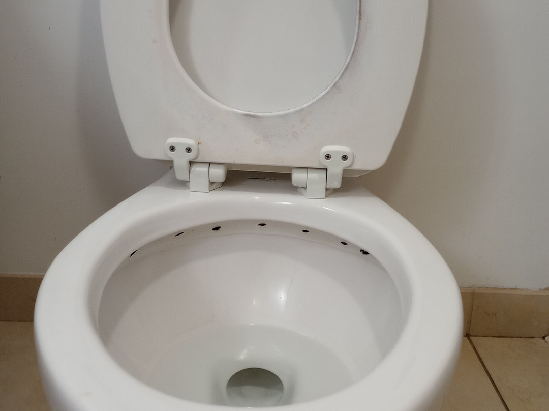 Country Inn & Suites by Radisson, Albany, GA主图