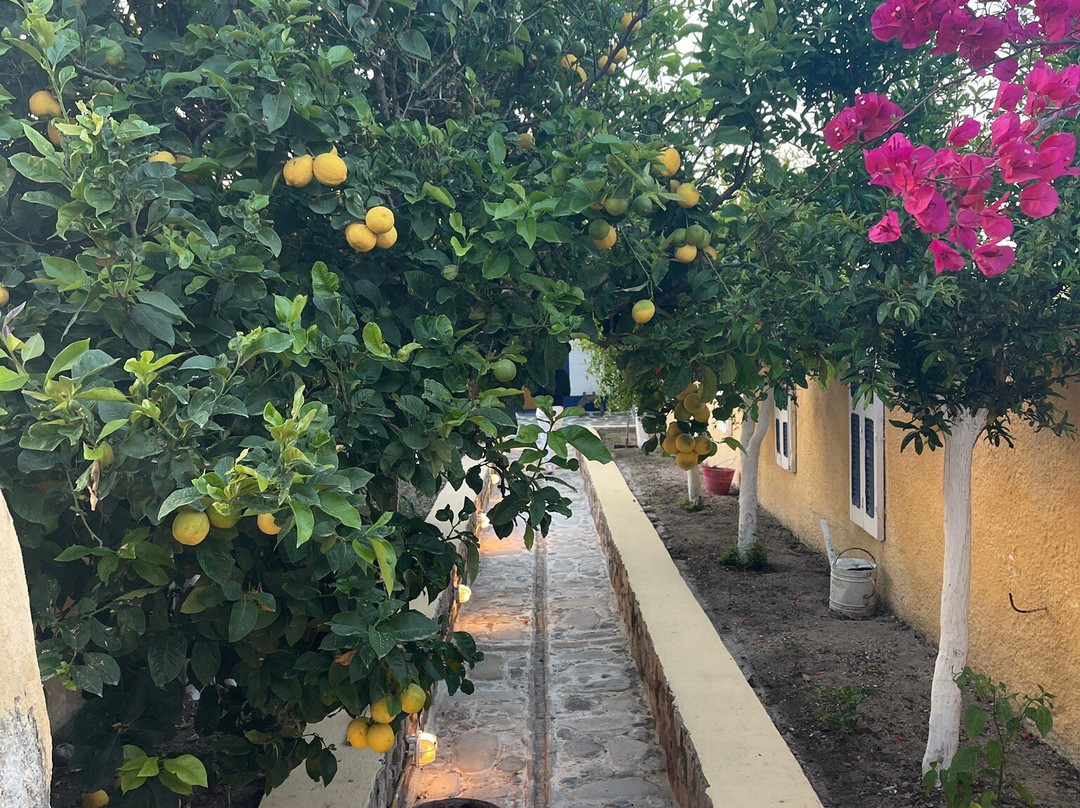 Traditional House of Kefalos-凯法洛斯必去景点