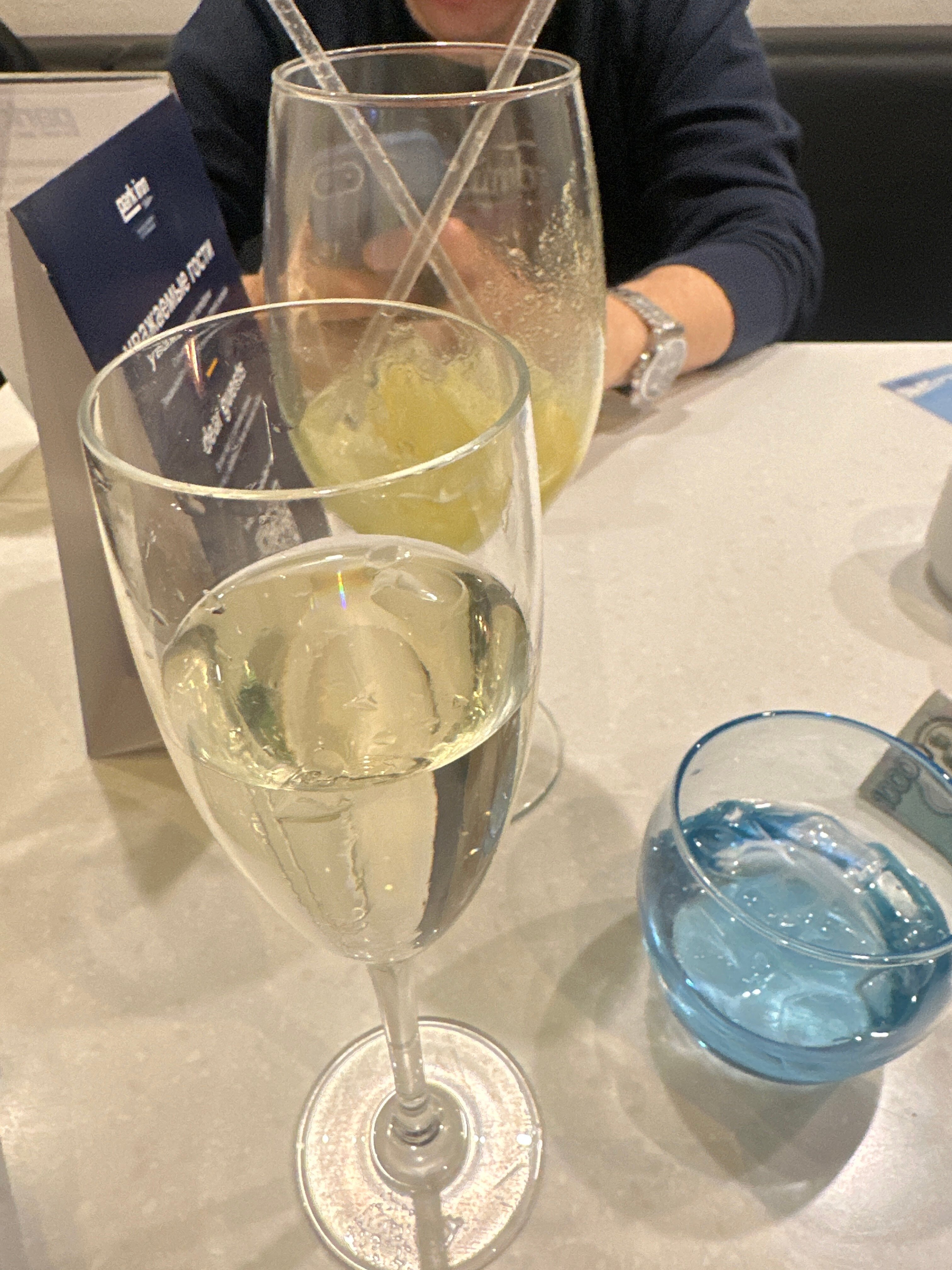 Cosmos Saint-Petersburg Pulkovo Airport Hotel, a member of Radisson Individuals-官方