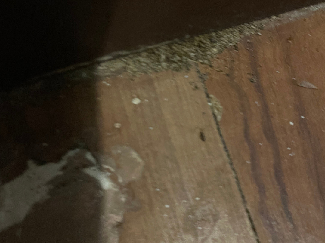 Silver Sand Beach Resort, Havelock主图