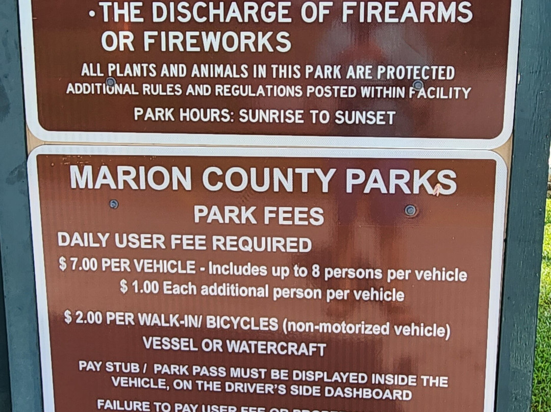 Ray Wayside Park-Silver Springs必去景点