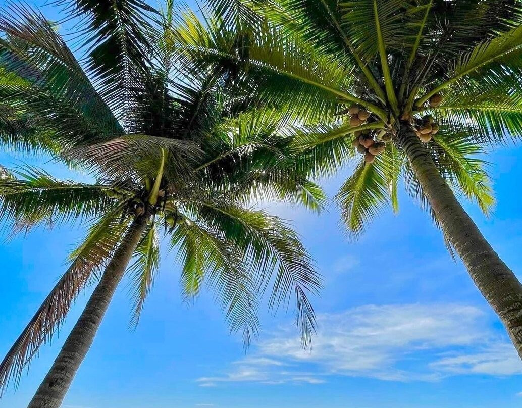 Dianao Beach-Dilasag必去景点