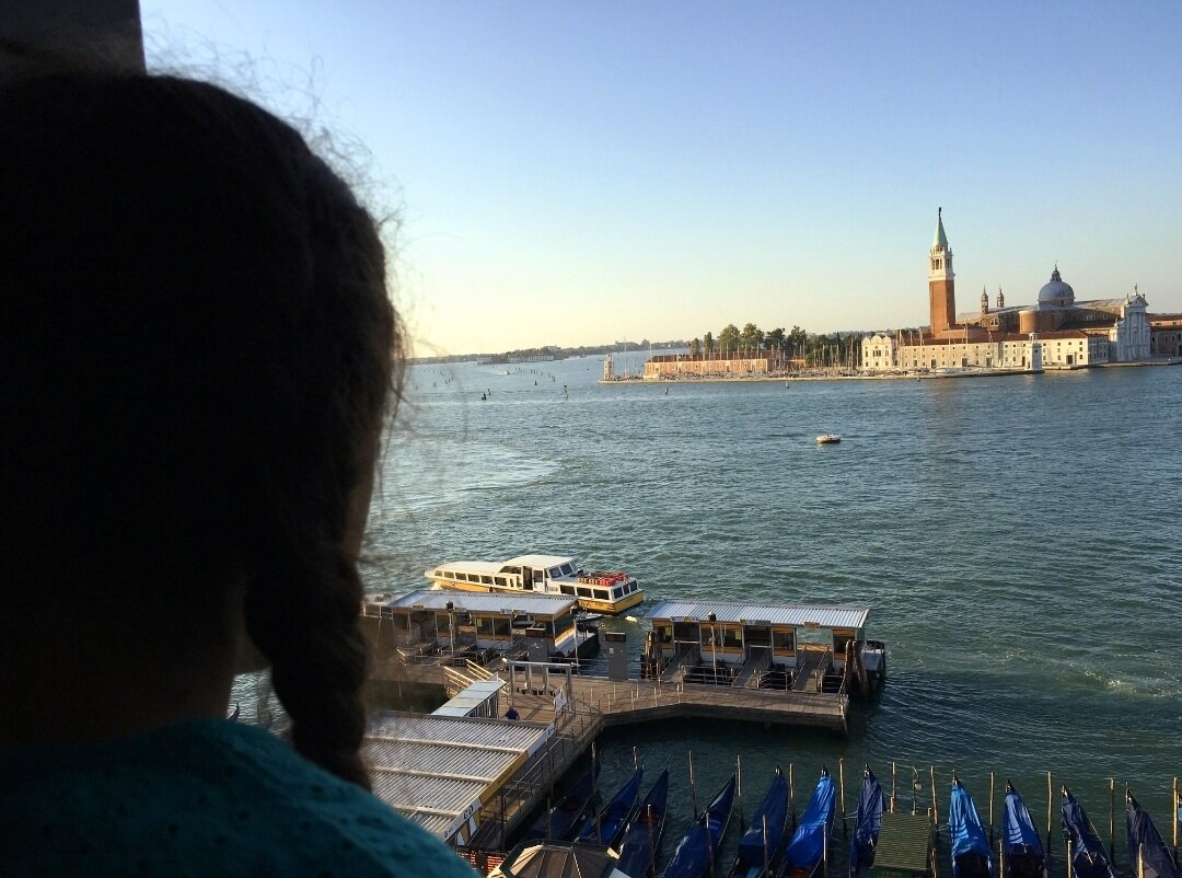 Hotel Danieli Venice-酒店景观