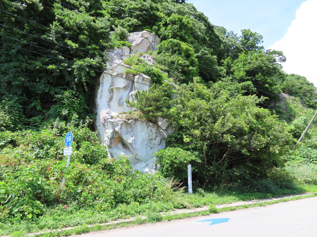 Tsubaki no Shiraiwa-男鹿市必去景点