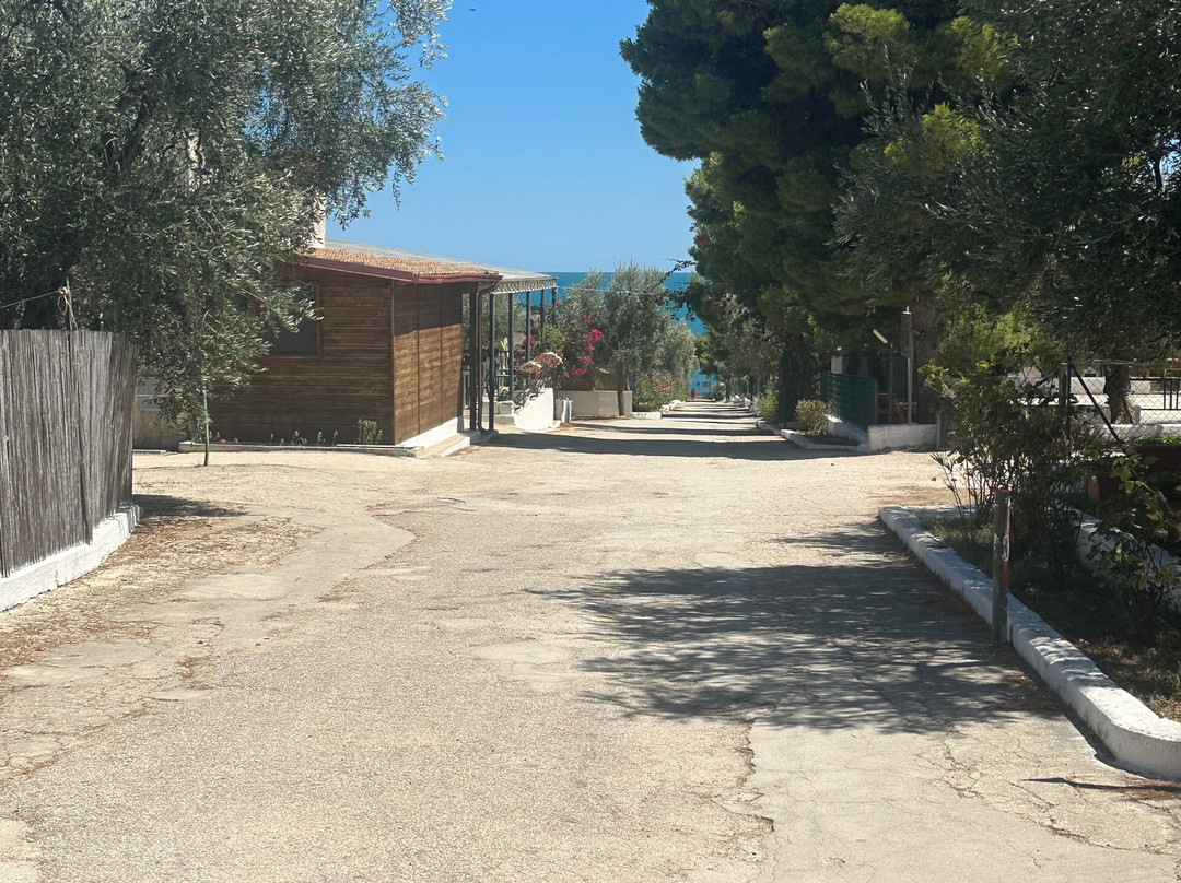 Leonardo Casa Vacanze主图