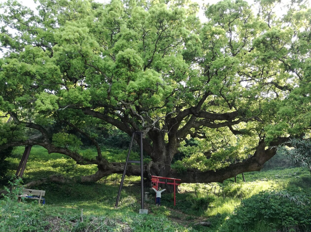 Shishijima no Okusu景点图片