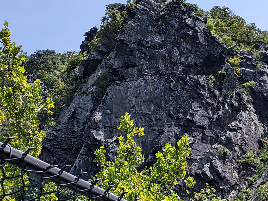 The Point-哈泊斯费里必去景点