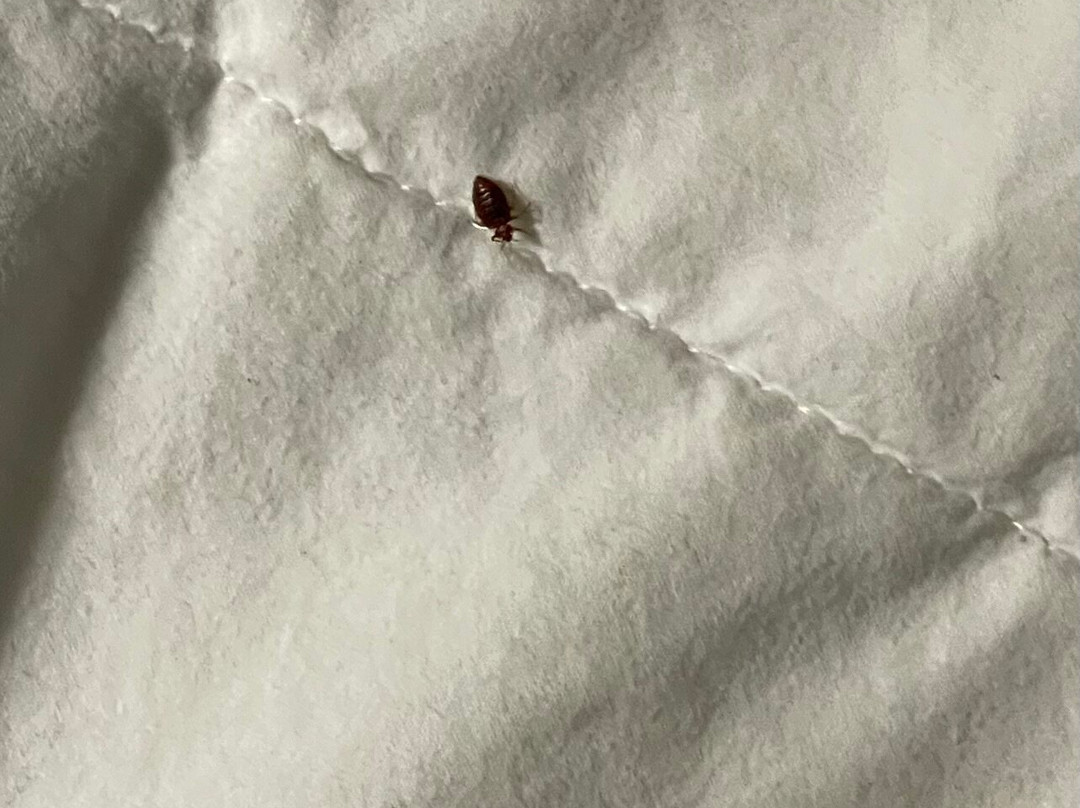 Quality Inn Greenville Near University主图