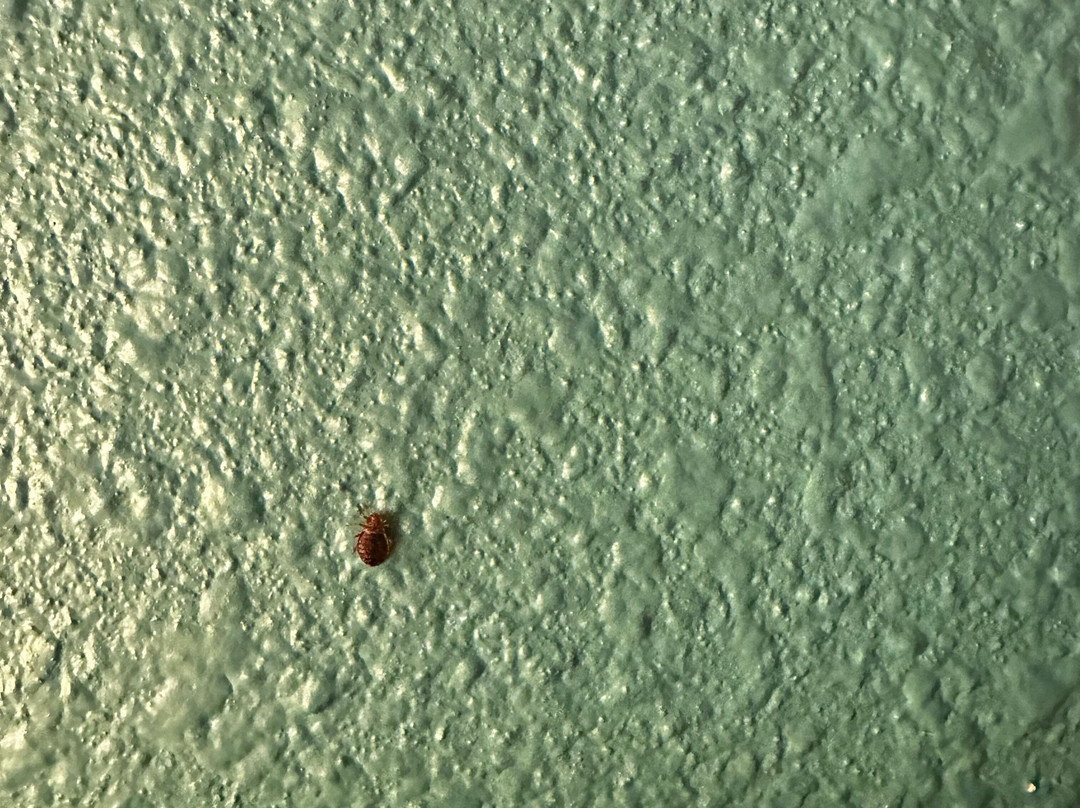 Fairfield by Marriott Inn & Suites Terre Haute主图