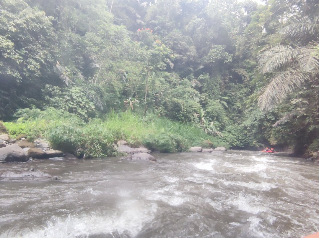 Rafting Ubud Bali-乌布必去景点