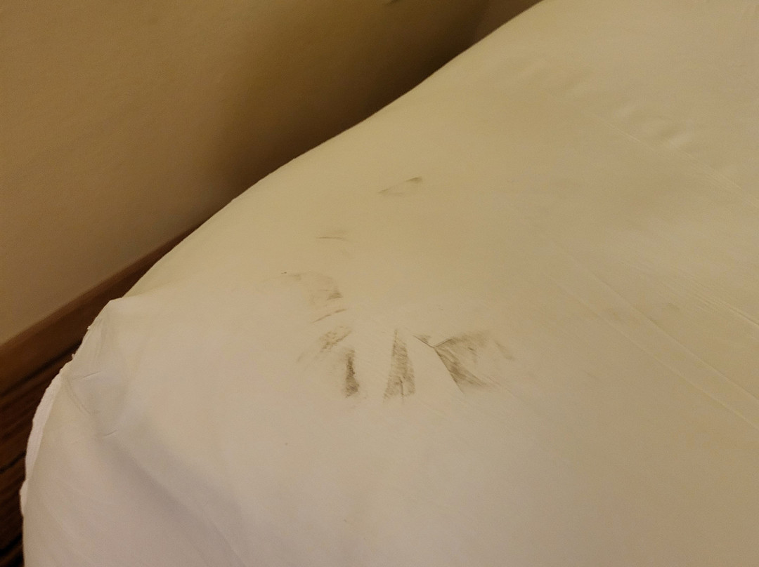 阿灵顿首府美景 Residence Inn 酒店主图