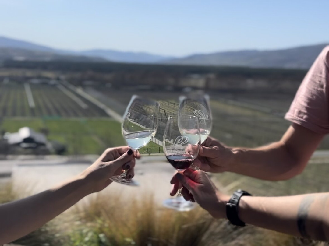 Whizzy E-Bike Hire-海斯湖必去景点