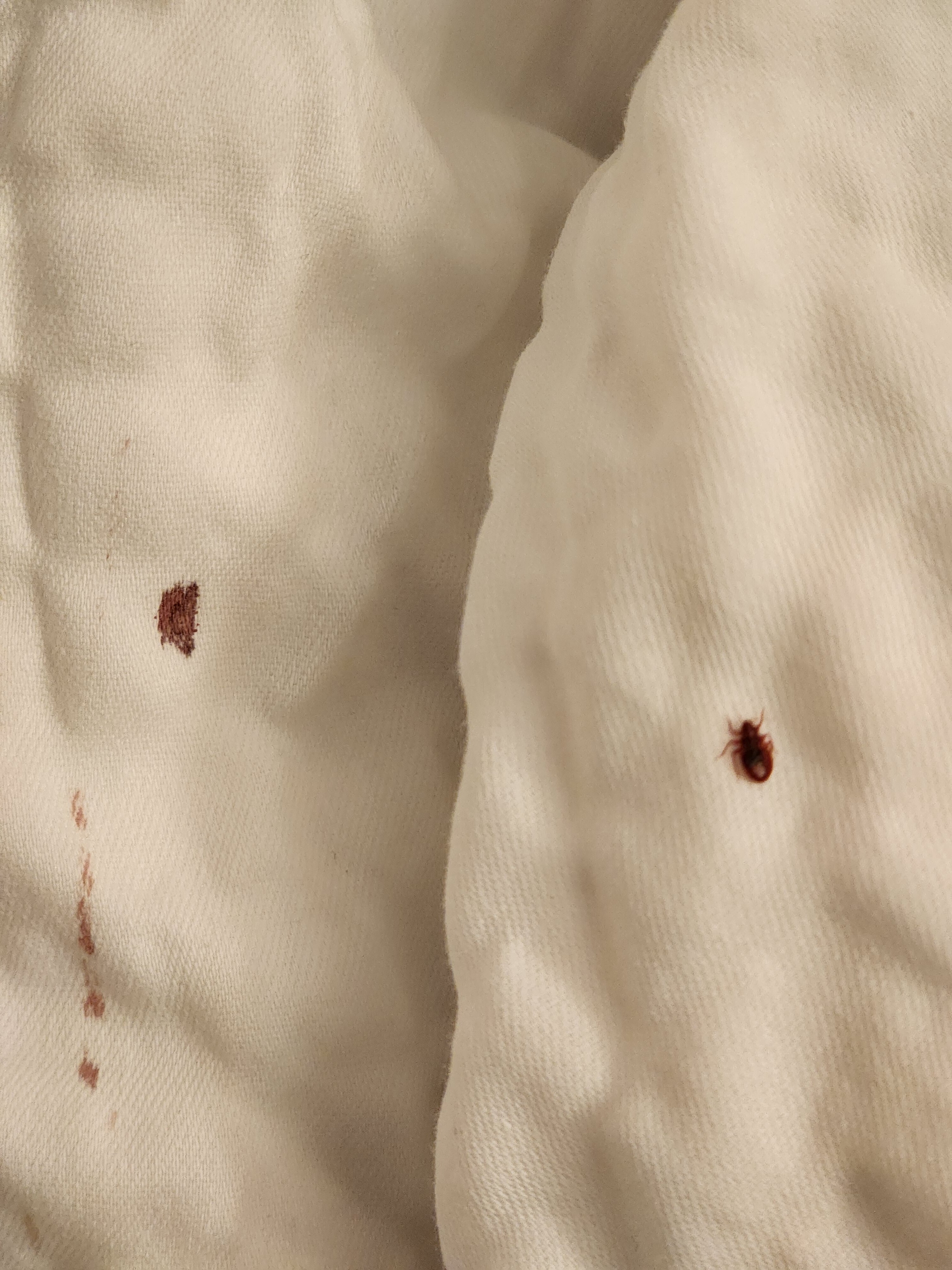 Best Western Corona Hotel & Suites-官方