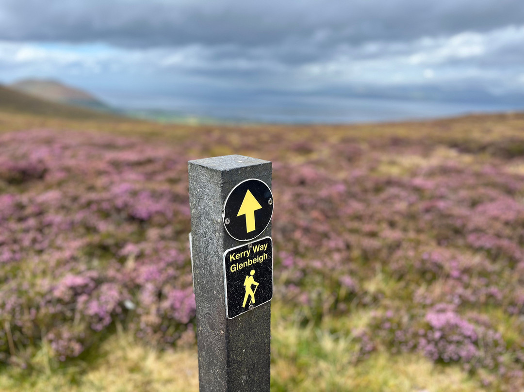Celtic Nature Walking Tours-丁格尔必去景点