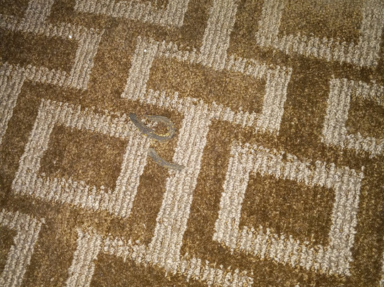 TownePlace Suites by Marriott Texarkana主图