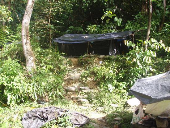 Expedition Jungle-武吉拉旺必去景点