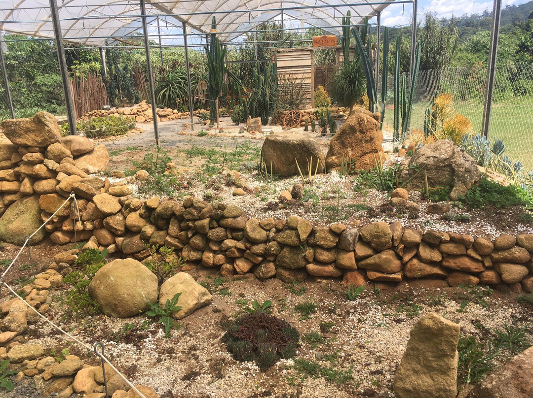 Villa René-圣安东尼奥杜皮尼亚尔必去景点