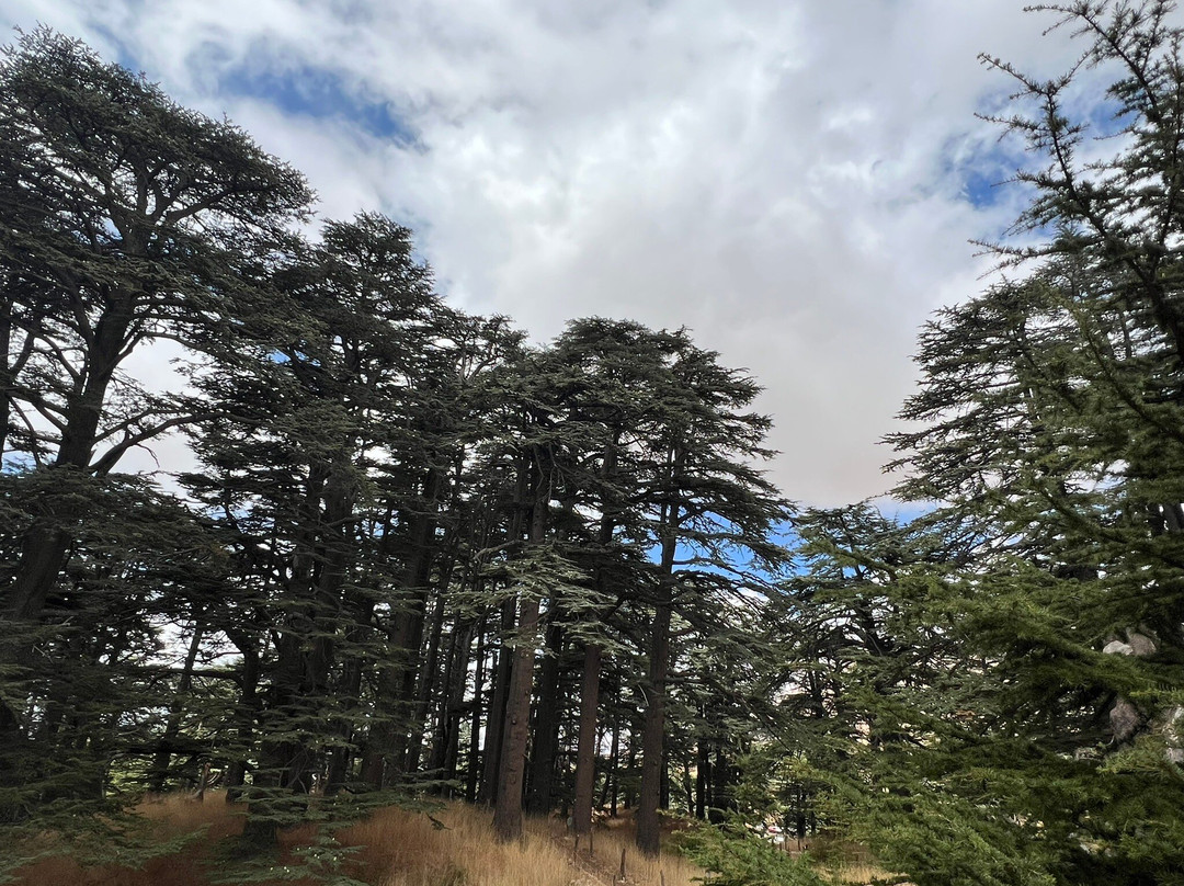 Show Me Lebanon-贝鲁特必去景点