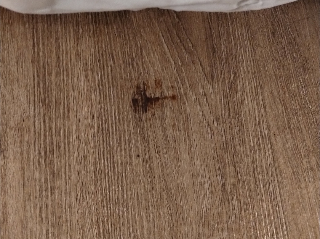 兰巴顿豪生酒店主图