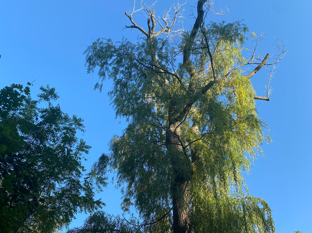 Sunset Beach-圣凯瑟琳斯必去景点