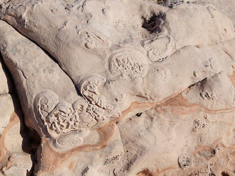 White Pocket-Grand Canyon-Parashant National Monument必去景点