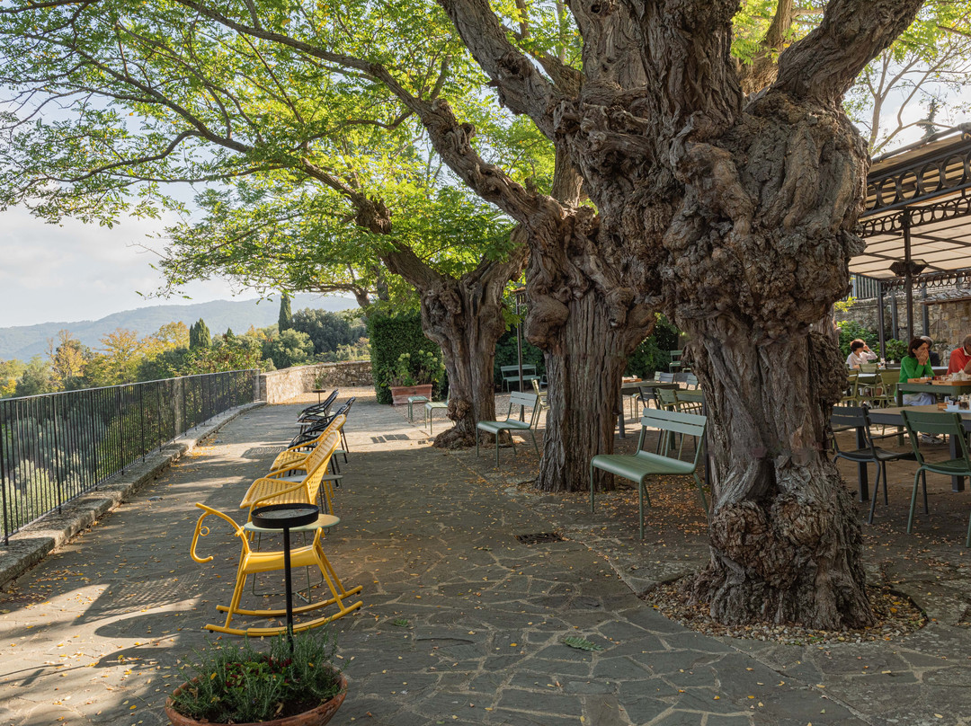 La Pensione di Vignamaggio主图