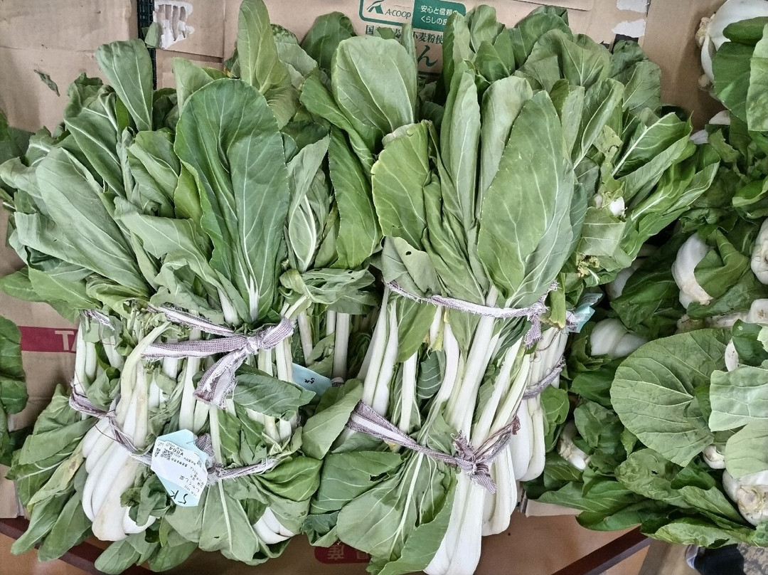 Michi no Eki Minano-皆野町必去景点