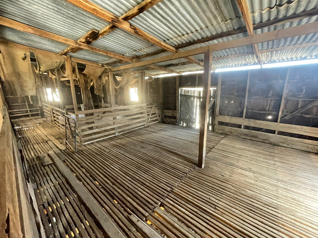 Kerosine Tin Shearing Shed-Woomelang必去景点