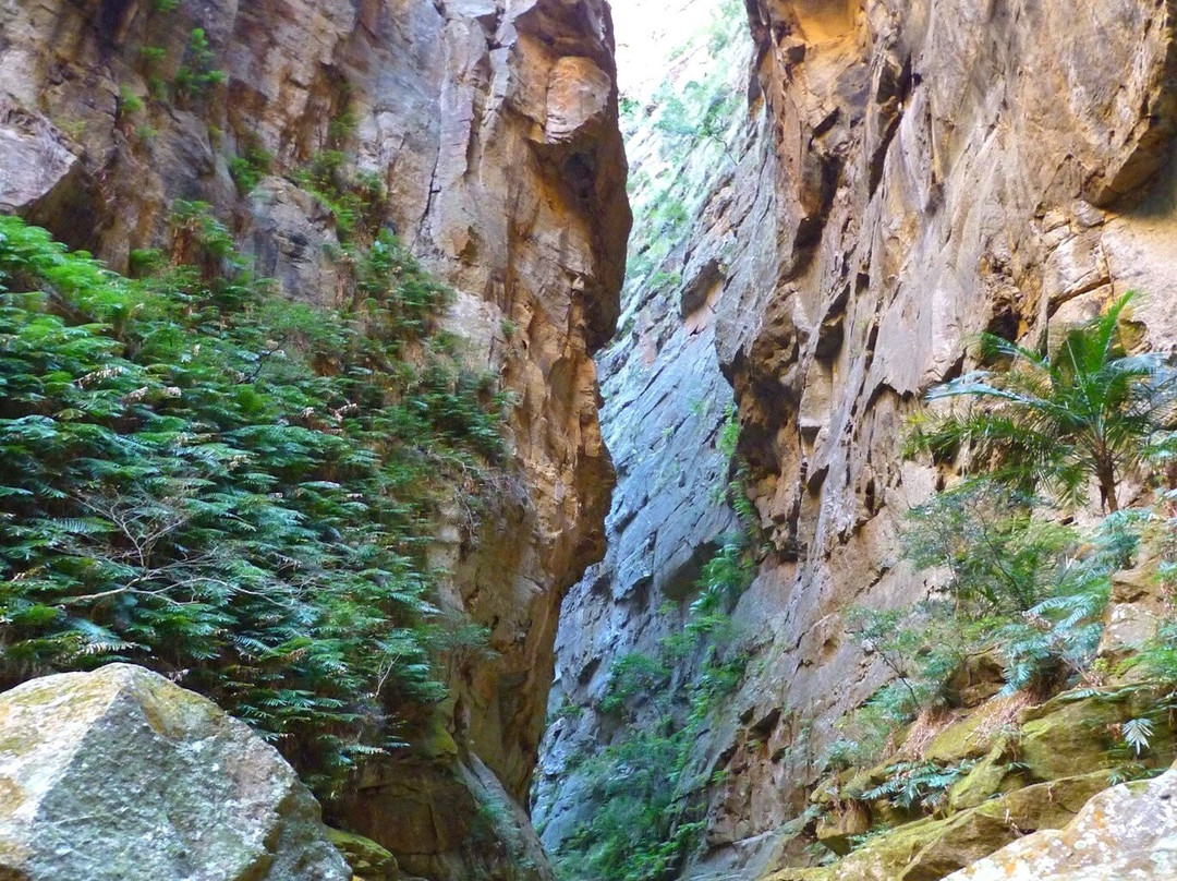 Canyon des Rats景点图片