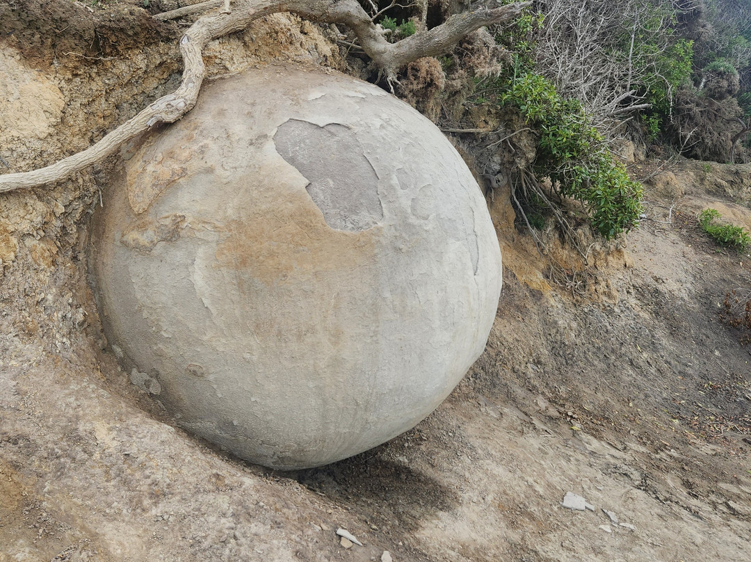 Moeraki Boulders景点图片