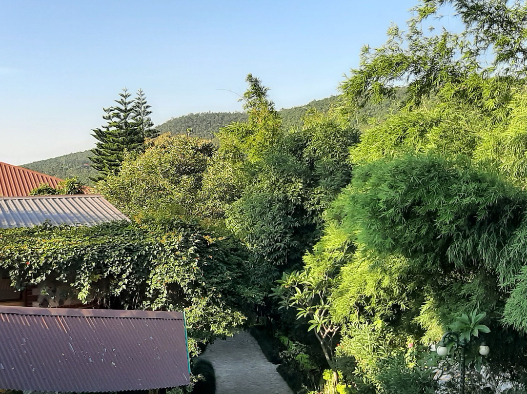 Tree of Life Resort, Dehradun Foothills主图