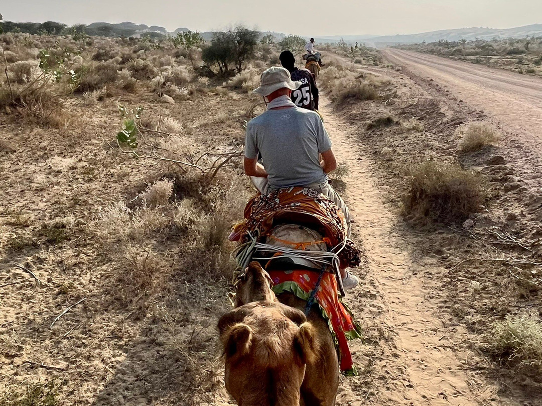 Renuka Camel Safari-杰伊瑟尔梅尔必去景点